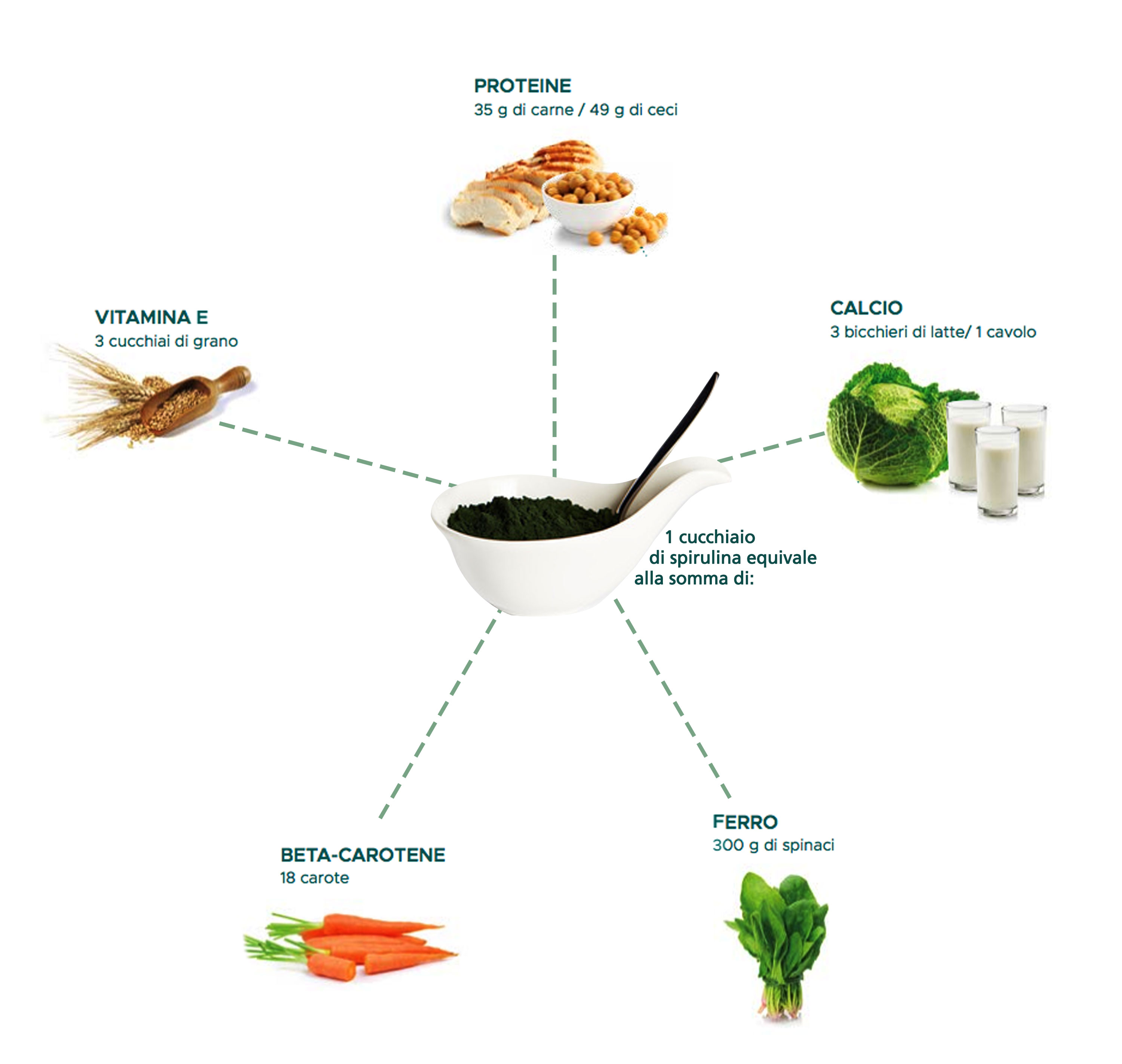 benefici di un cucchiaio di spirulina